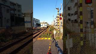 【キハ４7】と【中塩屋踏切】 　　　　 #shorts #JR #train