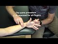 manual muscle test for distal interphalangeal finger flexion