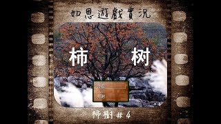 【恐怖RPG】柿樹#4 - 千里尋眼記!