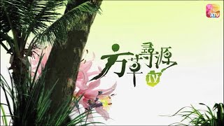 《方草尋源IV》 第2集 | 佛光入夢來 | 鮑起靜 | Adventure For The Herbal Medicine IV EP02 | ATV