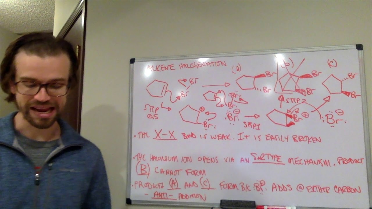 Alkene Halogenation Youtube