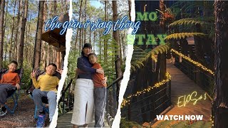 Vlog ĐÀ LẠT TẾT 2025 ||| THƯ GIẢN TRONG RỪNG THÔNG ||| MƠ STAY FOREST RESORT |||