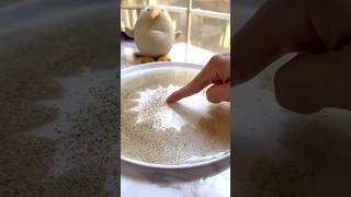 Simple Science - Magic Pepper #scienceexperiment #science #kiwico