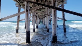 Fish Stories: Southern California's Oceanic Piers (Malibu, Ventura, Newport Beach, Balboa)