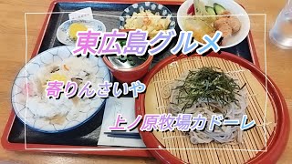 【グルメ】東広島河内町　福富町　寄りんさいやとカドーレ行きました