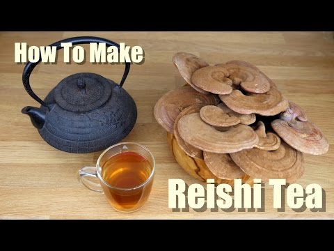 HOW TO MAKE REISHI MUSHROOM TEA - THE PROPER WAY HOW TO MAKE REISHI MUSHROOM TEA - THE PROPER WAY