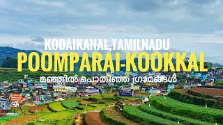 EP-8:Poomparai to Kookal Of Kodaikanal -പൂമ്പാറയിലേയും കൂക്കാലിലെയും ഗ്രാമ ഭംഗി |യാത്രനുഭവങ്ങൾ