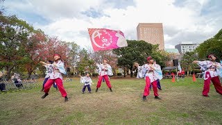 [4K] 十兎　おどるんや秋まつり 2018　二の丸会場