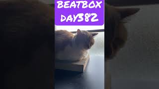 喉ヤバイ2年目の #ビートボックス #Beatbox DAY382