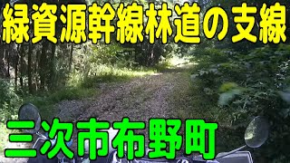 広島県三次市布野町（緑資源幹線林道の支線林道）