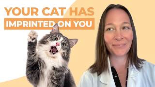 The 10 Signs Your Cat Has Imprinted On You