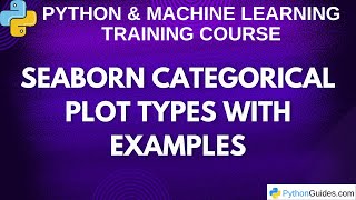 Seaborn Categorical Plots Made Easy: catplot to boxplot Step-by-Step