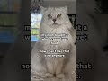 ugh so stubborn. cat fyp pets catvideos catlover funny cats