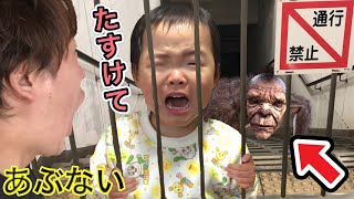 【立入禁止】入っちゃいけない場所にここちゃんが入って奇妙な生き物が現れました…