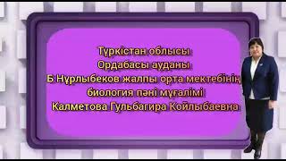 Биология  Аллельді гендердің әрекеттесуі, Калметова Гульбагира