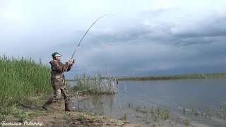 РЫБАЛКА С НОЧЁВКОЙ. Только закинули снасти и понеслось. день первый