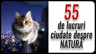 55 de lucruri ciudate despre Natură