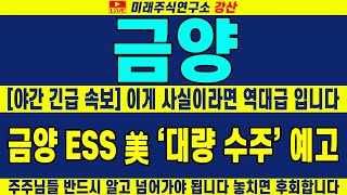 [금양] [야간 긴급 속보] 이게 사실이라면 역대급 입니다 금양 현재 ESS 美 '대량 수주' 예고! 주주님들 반드시 알고 넘어가야 됩니다 놓치면 후회합니다 | 강산