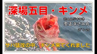 深場・キンメ釣り　サバの猛攻あるも　かろうじてキンメダイいただきました。