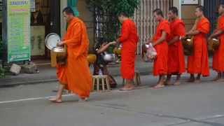 Morning Almsgiving in Pakse, Laos