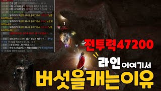 [ ODIN] 오딘헤임달01서버 투력44000어쌔씬 [ 서버라인이 여기서 버섯을 캘수밖에없던이유 ]