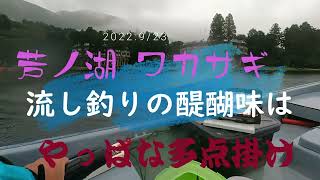 2週連続、雨の芦ノ湖でワカサギ流し釣り