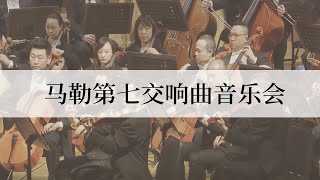 This is a melody that you will gradually fall in love with 《马勒第七交响曲》——令人慢慢上头的“夜之歌”丨《爱乐乐团》