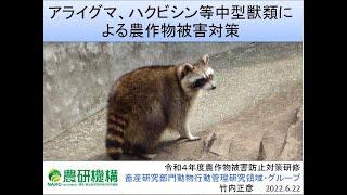 令和４年度農作物鳥獣被害防止対策研修～アライグマ、ハクビシン等中型獣類による農作物被害対策について～