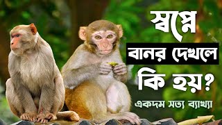 স্বপ্নে বানর দেখার ব্যাখ্যা কি জানুন | shopne banor dekhle ki hoy | dreams interpretation of monkey