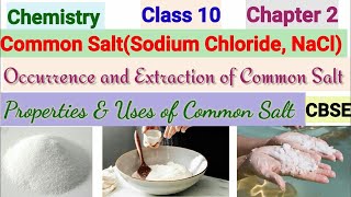 Common Salt / Salts | Acids bases and salts | Class 10 | Chemistry