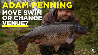 Adam Penning: Move Swim or Change Venue? 🤔