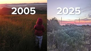 Why Modern Photos Look Awful