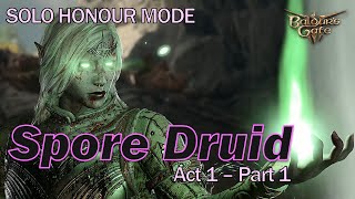 Solo Spore Druid - Act 1 - Part 1 - Honour Mode