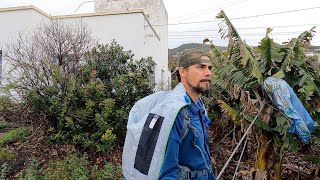 Do you like rain? (Hike to the beach of Tazacorte, La Palma) - 4K Ultra HD