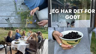 VLOG: SOMMERHUS, SPINNING \u0026 SMUKFEST RECOVERY