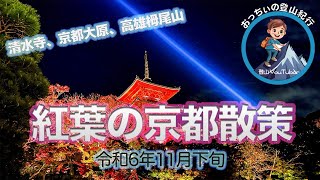 【紅葉の京都散策】京都清水寺、三千院、寂光院、神護寺、西明寺、高山寺を散策