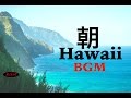 【作業用BGM】リラックスハワイアンギターBGM - 勉強用BGM - ゆったりギターでリラックス！！