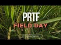 PROVINCIAL RICE TECHNOLOGY FORUM / HYBRID RICE