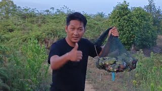 PULUHAN BURUNG PUNAI TERKENA JARING SAMPAI KETAR KETIR #burungpunai #menjaring #berburu #viralvideo