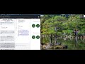 freeCodeCamp: Make an Image Responsive