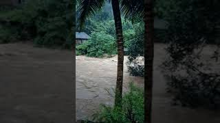 Mundakayam #water #disaster #flood