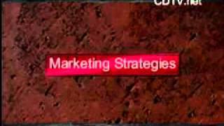 Business Marketing Strategies featuring Hispanic Marketing on CDTV.net