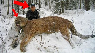 The Man Couldn't Ignore This Frozen Dying Leopard. You Wouldn’t Believe What Happened Next!