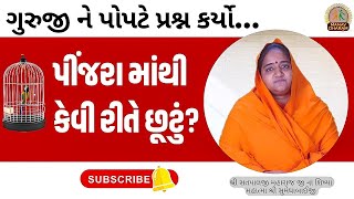 ગુરુજી ને પોપટે પ્રશ્ન કર્યો કે પીંજરા માંથી કેવી રીતે છૂટું? The Lying Parrot