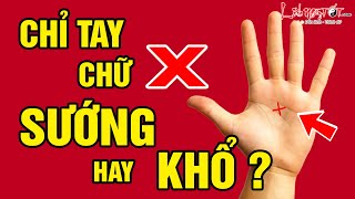 Sở Hữu Đường Chỉ Tay Cực Hiếm Này Cuộc Đời Rạng Rỡ Hiển Vinh Giàu Sang Xuất Chúng Khó Sánh -Tướng Số