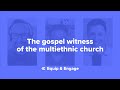 28. That the world will know—The gospel witness of the multiethnic church (with Derwin Gray)