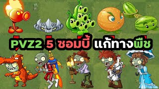 PVZ2 5 ซอมบี้แก้ทางพืช #ZomBibo