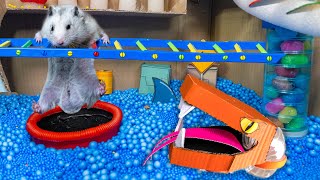 🐹 Hamster Escape with Snake Maze - The Best Hamster Challenges
