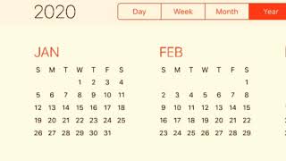 Calendar 2020