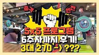 찐헬린이의 파워게르만 5x5 프로그램 6주차까지 완료! 과연 중량변화는?(feat.후기)